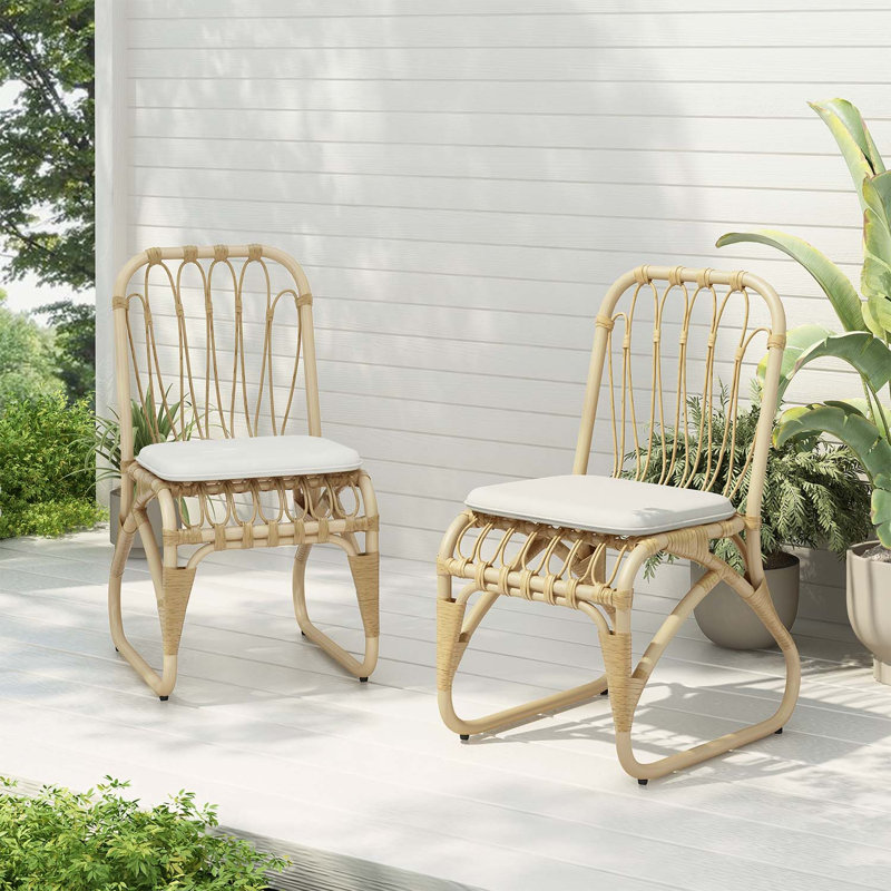 Ensemble de chaises d'extérieur en osier avec coussins confortables et design élégant, Beige / Naturel