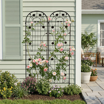 Ensemble de 2 treillis métalliques d'extérieur, treillis hauts autoportants pour plantes grimpantes, treillis de jardin pour tomates, roses et vignes