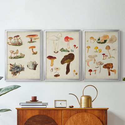 Mushroom Species X -Custom Framed Wrapped Gallery Canvas - 3 Pieces