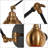 1-Light Black & Gold Dimmable Swing Arm Sconce with Plug-In and Hardwire Design for Damp Indoor