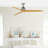 Sherwood 60'' Ceiling Fan-1160938932