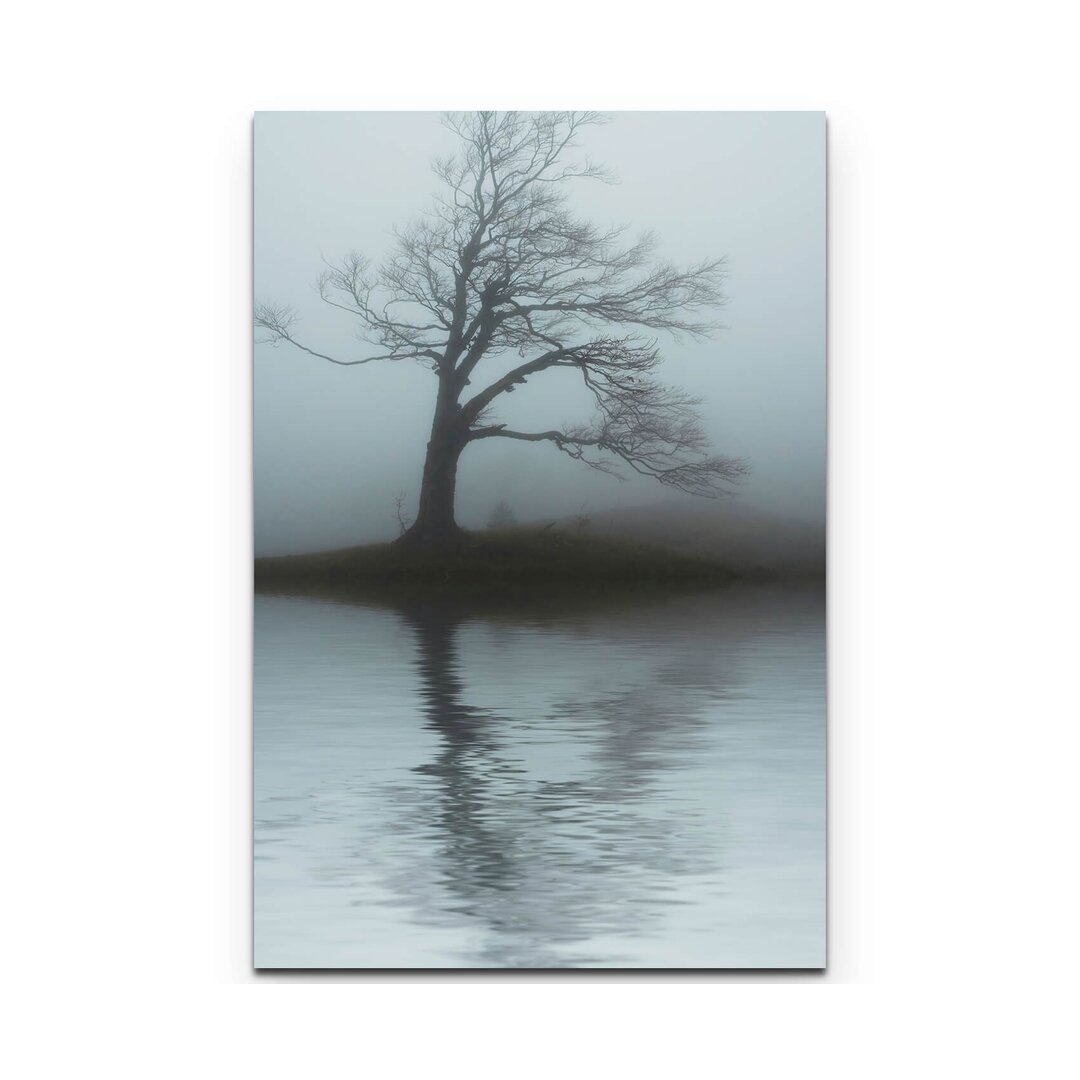 Leinwandbild Baum am See im Nebel