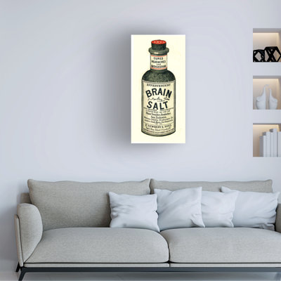 English School Brain Salt, 1890S Canvas Art