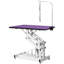 Table de toilettage hydraulique 42,5 pouces-119352984