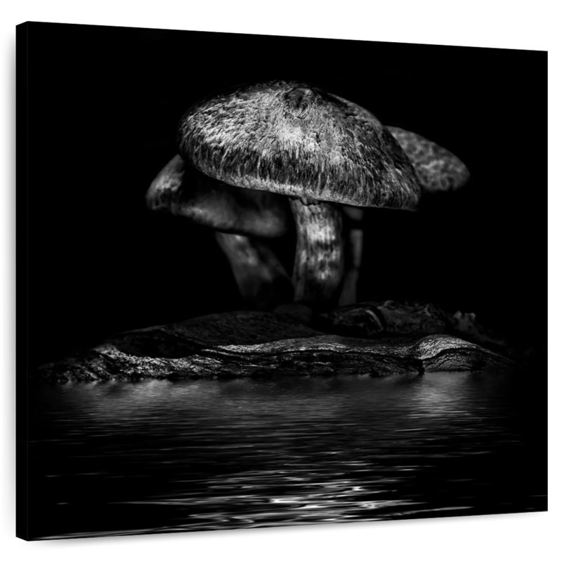 Yarlin Grunge Mushrooms, 16" H x 16" W