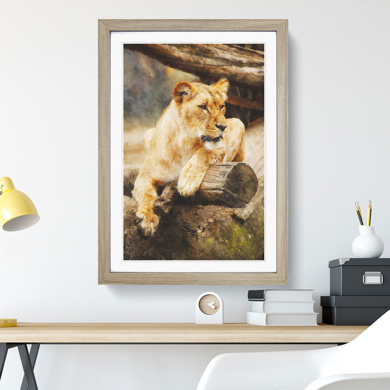 Lioness - Picture Frame Graphic Art, Oak Framed, 36cm H x 27cm W x 2cm D