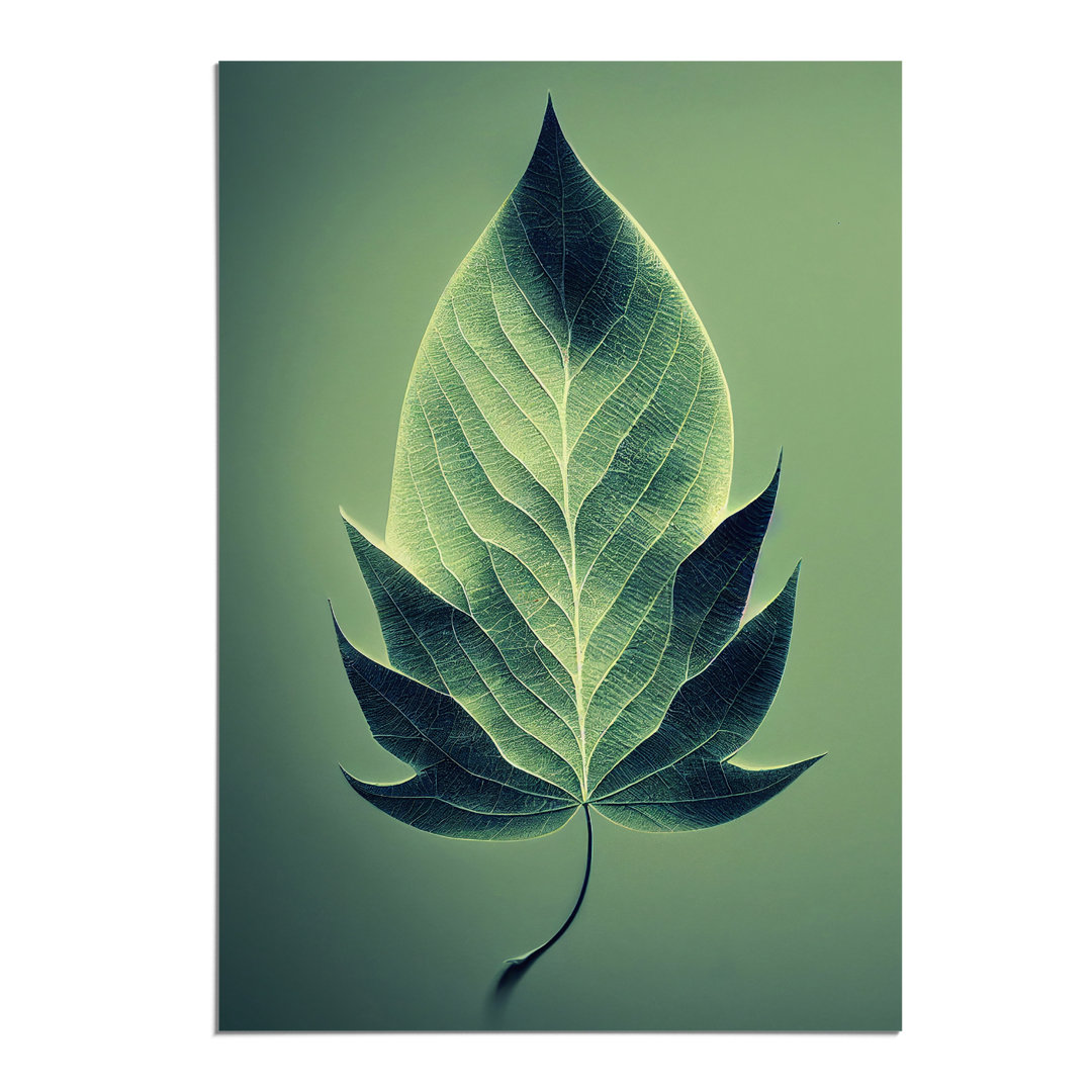 Single Plant Leaf No.1