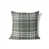 Chimichurri/Green Plaid 5