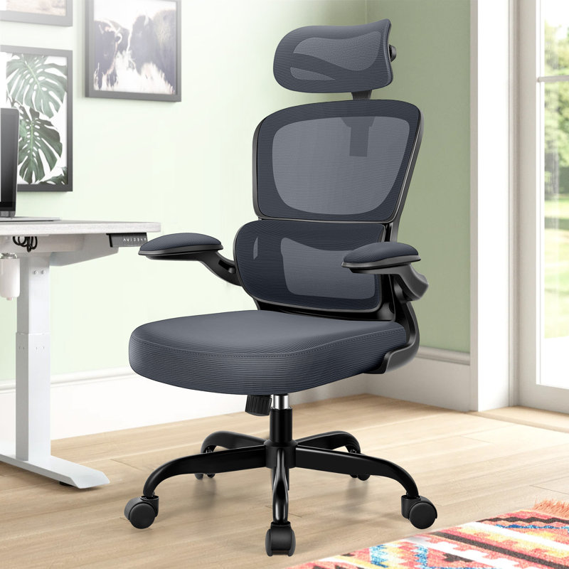 Lidwien Ergonomic Breathable Mesh Office Chair with Adjustable Headrest and Flip-Up Arms, Black/DarkGray