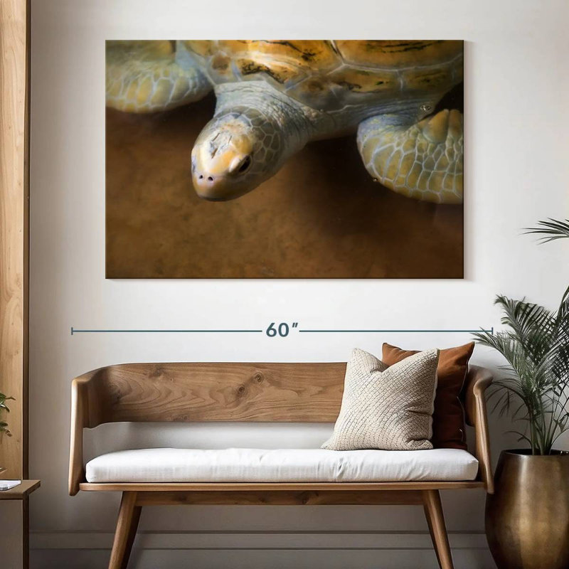 Stunning Turtle, 34" H x 51" W