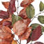 Cueilleur à feuilles 20 po Autumn Salal-1213957409