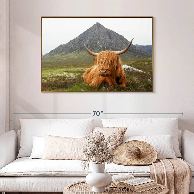 Highland Cow Serenity, 25 po x 17 po, Cadre flottant doré