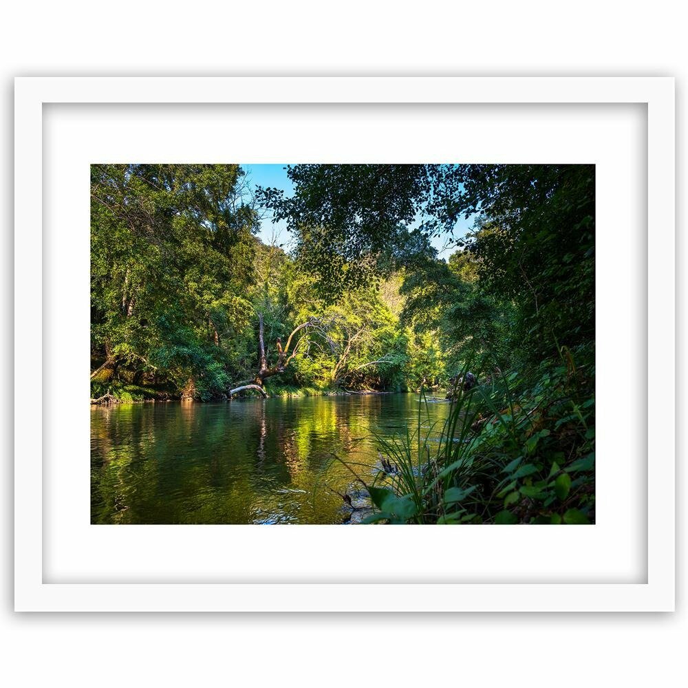 Gerahmtes Poster Fluss im tropischen Wald