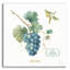 «My Greenhouse Fruit III» par Lisa Audit-1625122704