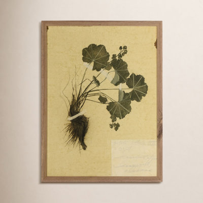 "Petite Study No. Vii" by Hannah Winters