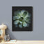 «Desert Succulent Close Up Blue and Green Lily Pad» sur papier-98265986-98265991