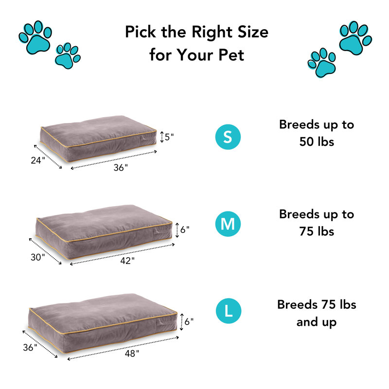 Lit pour chien Olivarez Classic, Grand (L 48 po x l 36 po x H 6 po), Crème au beurre
