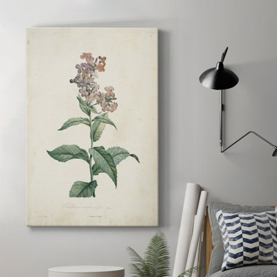 «Traditional Botanical II», impression sur toile tendue