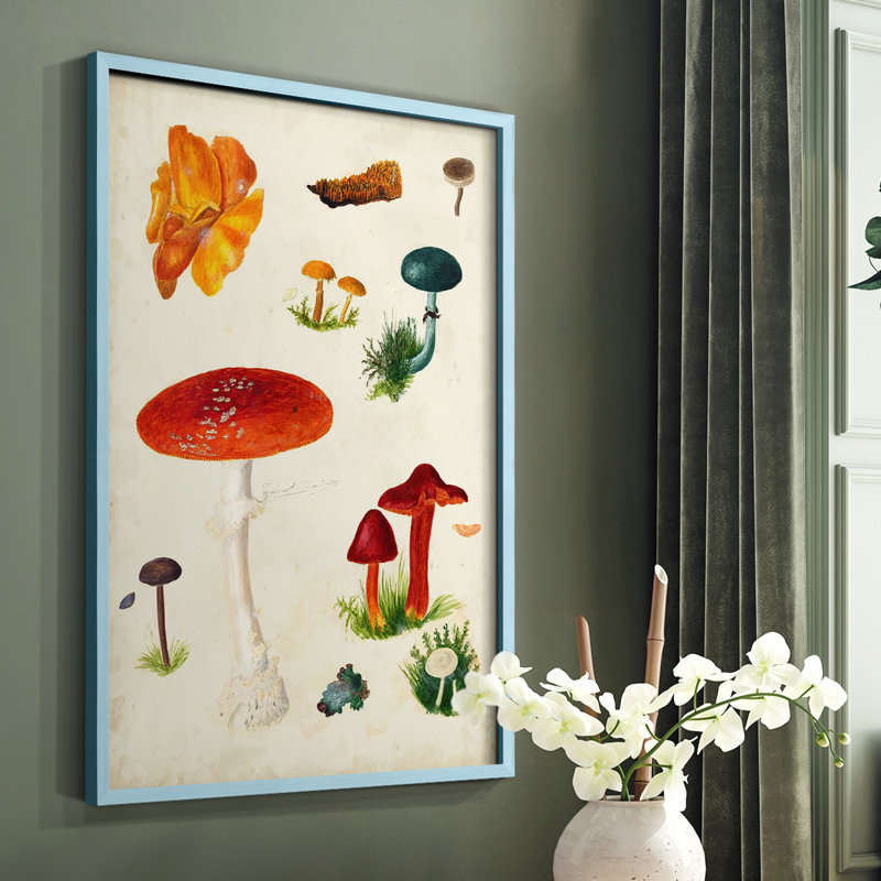 Reproduction encadrée champignon Mushroom Species, H 10 po x l 8 po, Bleu
