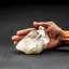 Véritable grappe de cristal de quartz transparent du Brésil (1,2 lb)