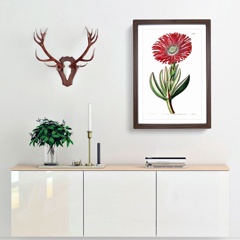 Red Marigold Flower - Picture Frame Painting Print, 65cm H x 48cm W x 2cm D, Walnut Framed