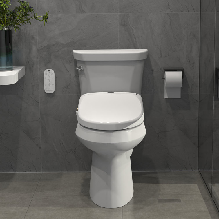 https://assets.wfcdn.com/im/89280543/resize-h755-w755%5Ecompr-r85/2226/222614175/Elongated+Soft+Close+Toilet+Seat+and+Lid.jpg