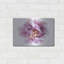 Purple Double Open by Elise Catterall - Unframed Print on Metal-1751773570