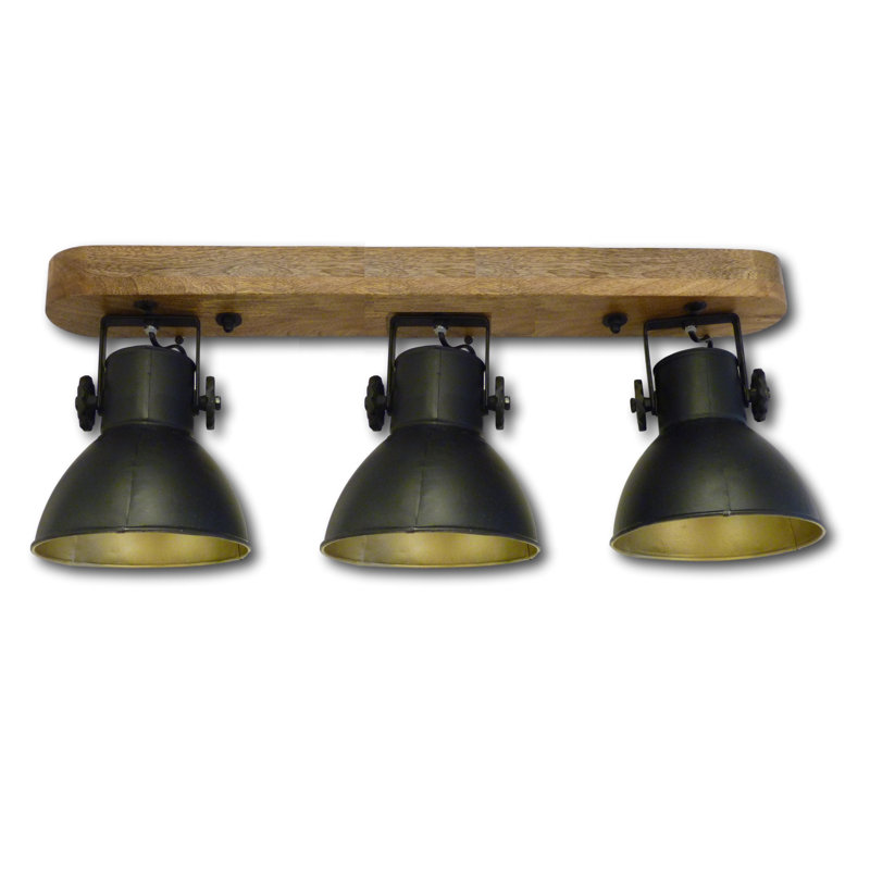 Projecteur directionnel 25 po 3 lumières Groh, Noir mat