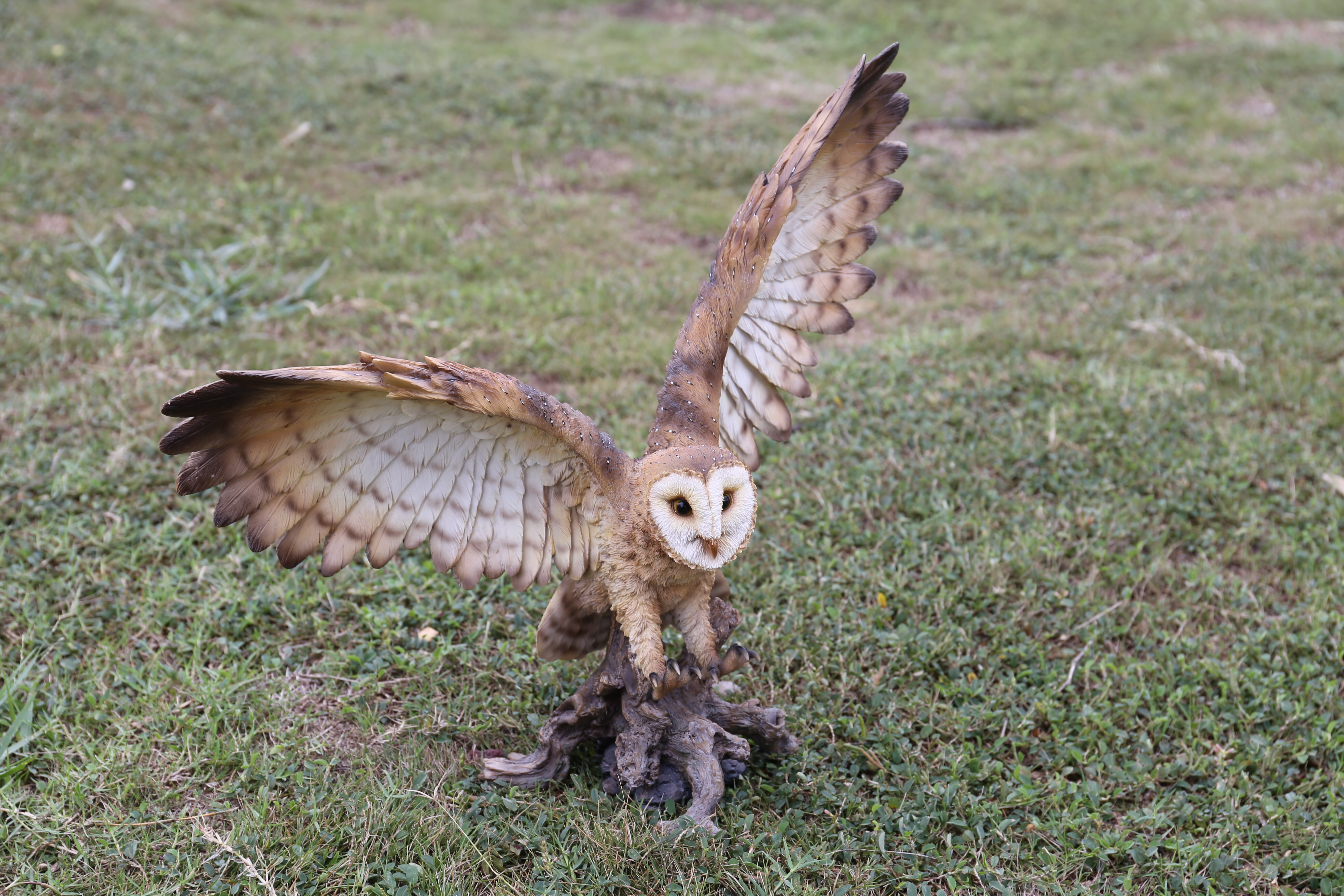 Barn Owl on Stump with Open Wings Statue