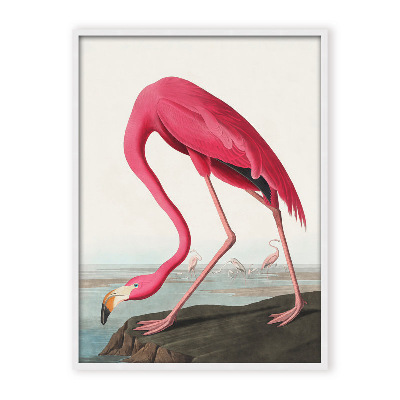 Coastal Retreat Pink Flamingo II From Birds Of America (1827), 40" H x 30" W x 2.375" D, Framed Canvas, Brown