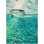Sailing