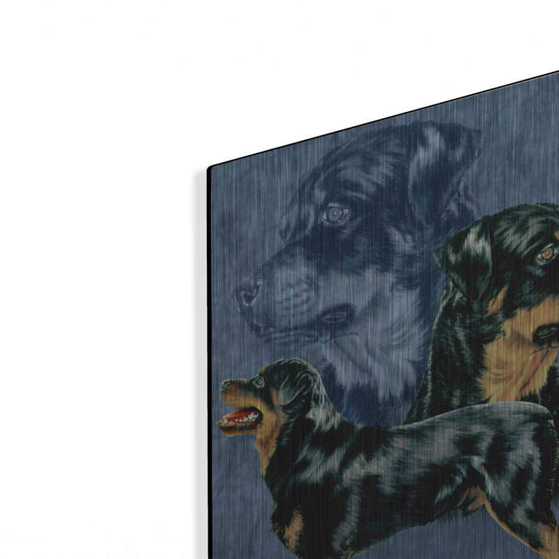 "Rottweiller" par Barbara Keith, H 16 po x l 12 po