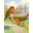 European Robin Double Sided 40'' H x 28'' W Polyester Animal House Flag