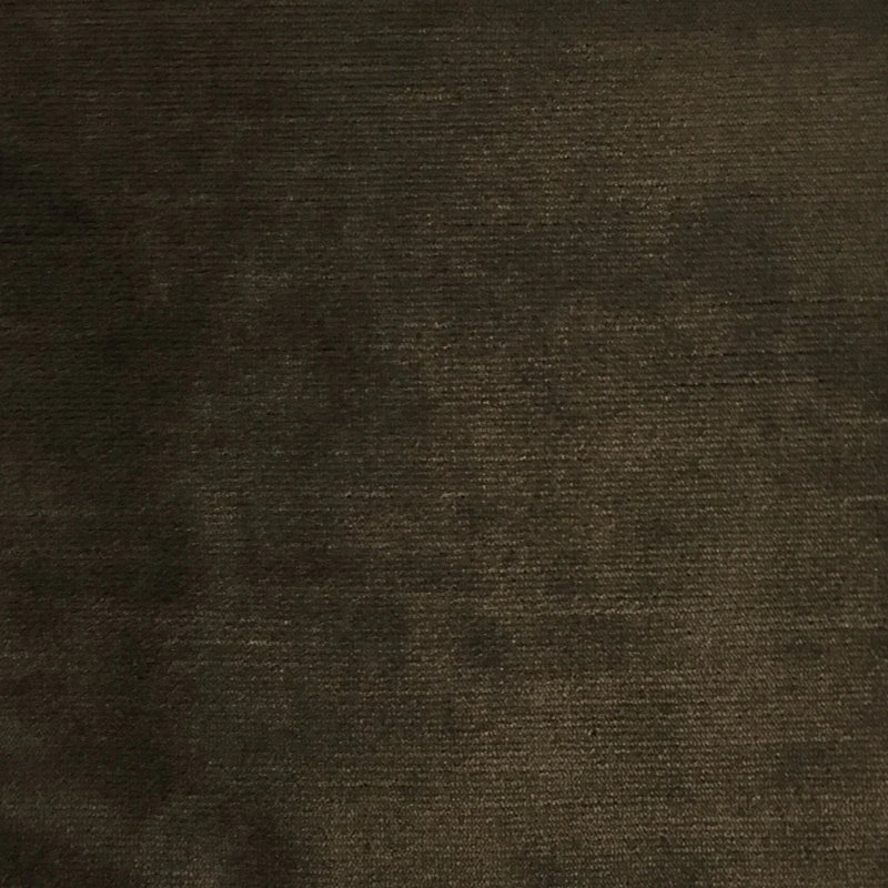 Tissu Sloane, Café