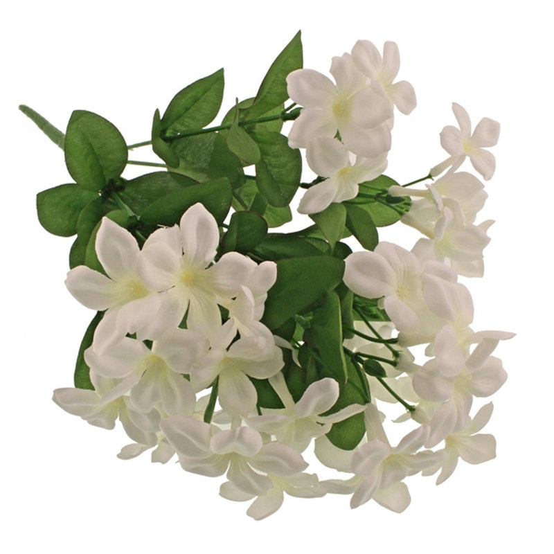 Stephanotis Arrangement