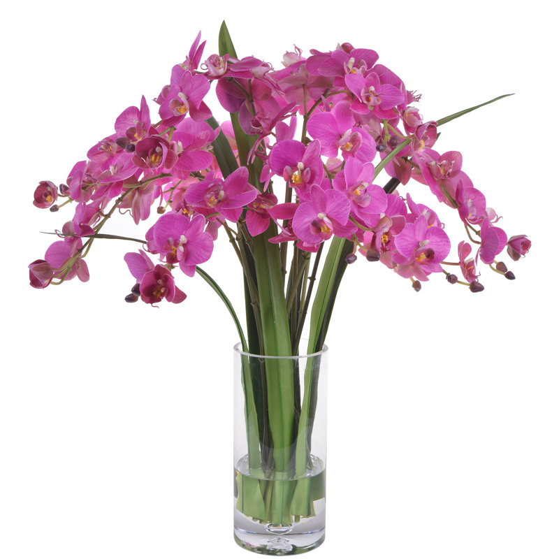 Arrangement floral orchidées phalaenopsis dans un vase cylindrique