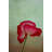 " La Te Da "-1056177670-1056177668