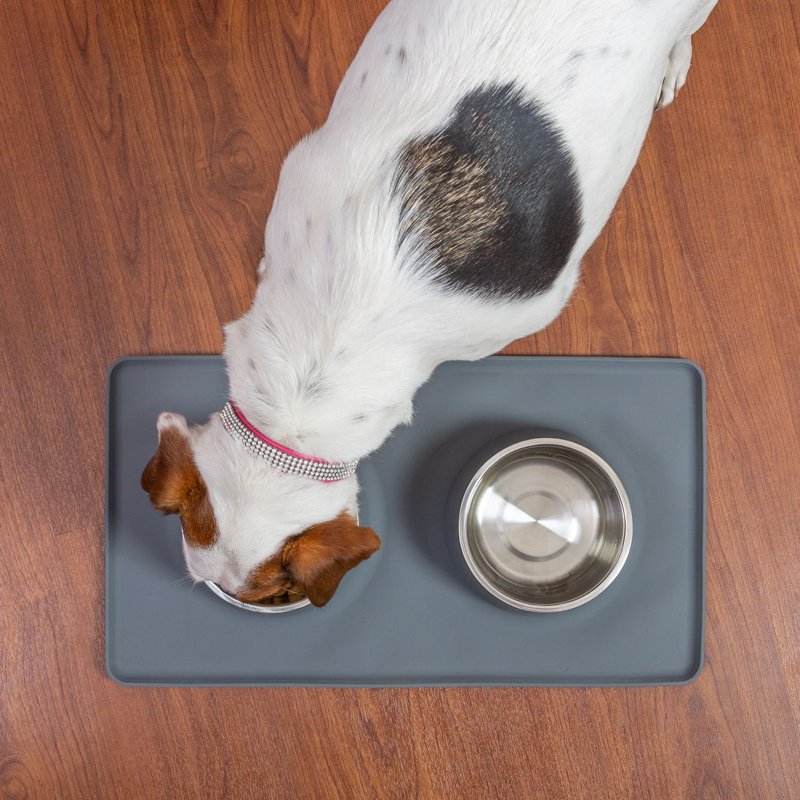 Deco Pet Dual Stainless Steel Bowl