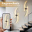 2-Light Black Wavy LED Flush Mounted Sconce