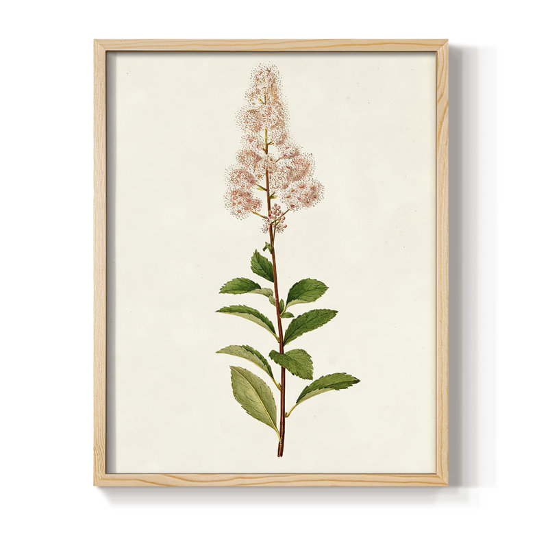 Mauve Garden Flowers II, reproduction encadrée - bois massif, Naturel, H 11 po x l 9 po