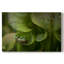 Refuge Arboreal - galerie Cavas sur mesure-117625431