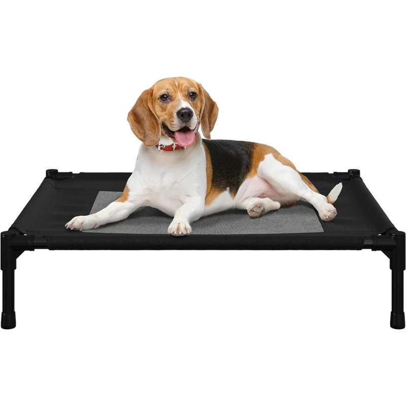 Lit surélevé pour chien avec pieds antidérapants PETMAker 30 x 24 pouces, noir, Moyen (l 30 po x P 24 po x H 7 po), Noir