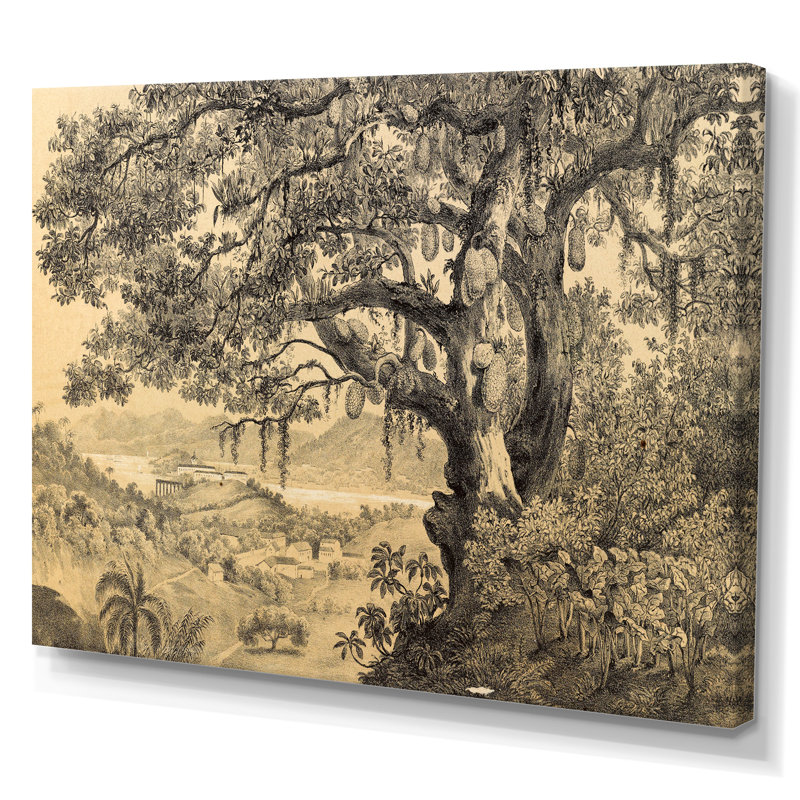 Nature of South America Old Image VII - Peinture sur toile, Toile tendue, H 40 po x l 60 po x P 1,5 po
