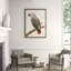 Gray Parrot 2' Framed Print on Glass