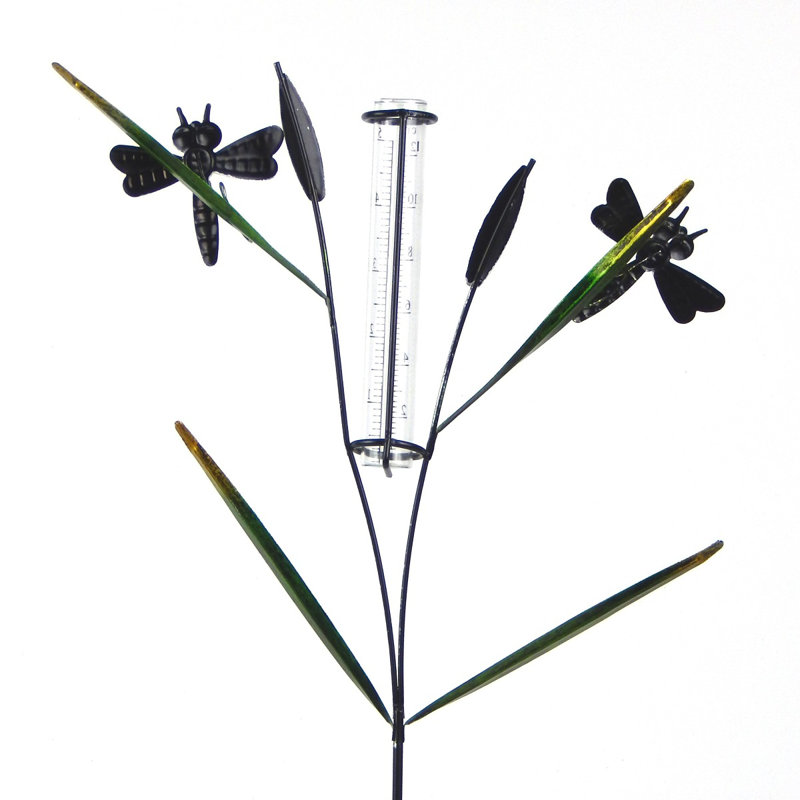 Jauge de pluie libellule Berat