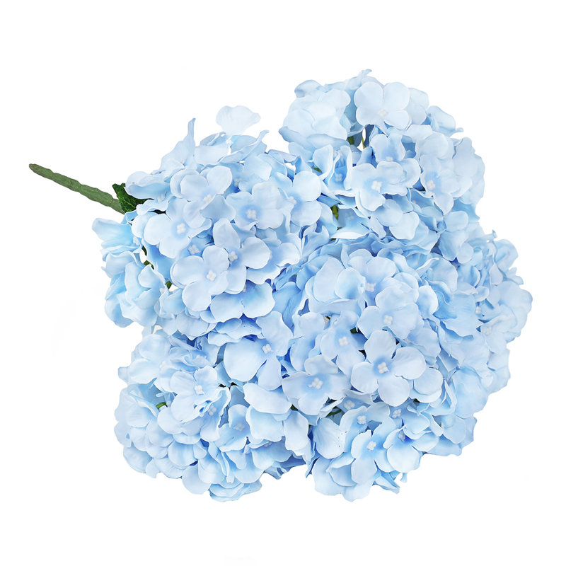 Hortensia de luxe, Bleu pastel