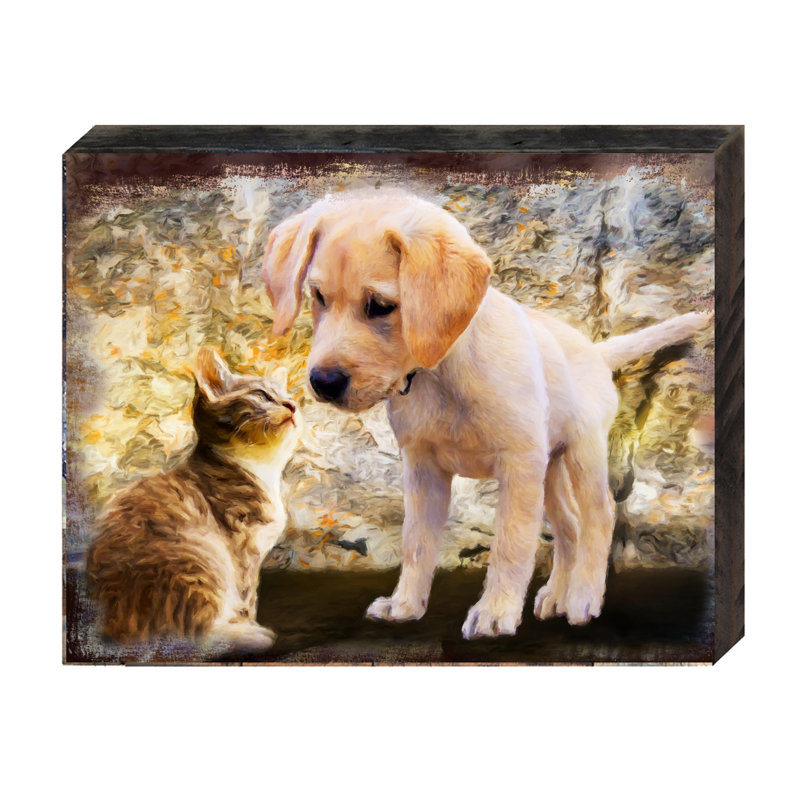Bloc de bois pour chien et chat Bobra, H 5,5 po x l 7 po x P 1 po