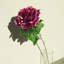 Grande tige de pivoine en velours-638616991
