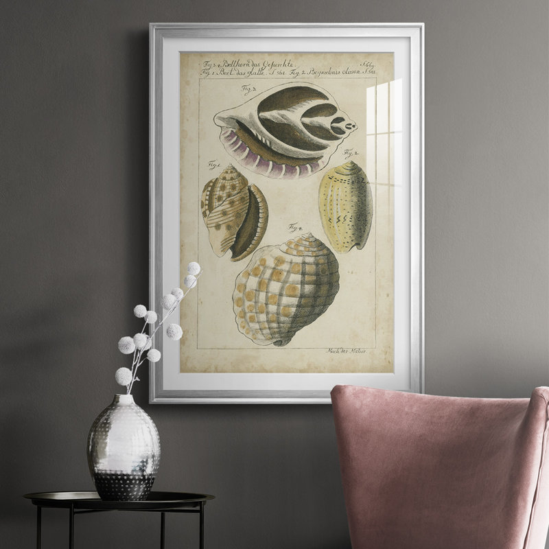 Étude de coquillage rétro I - impression d'un cadre photo sur papier, H 42,5 po x l 30,5 po x P 1 po, Argent