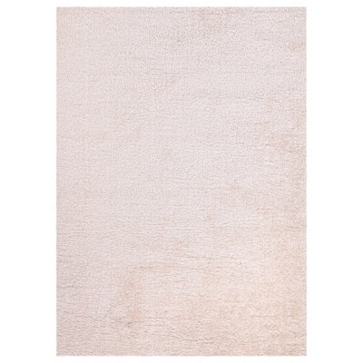 Chantoria Shag Indoor / Outdoor Area Rug